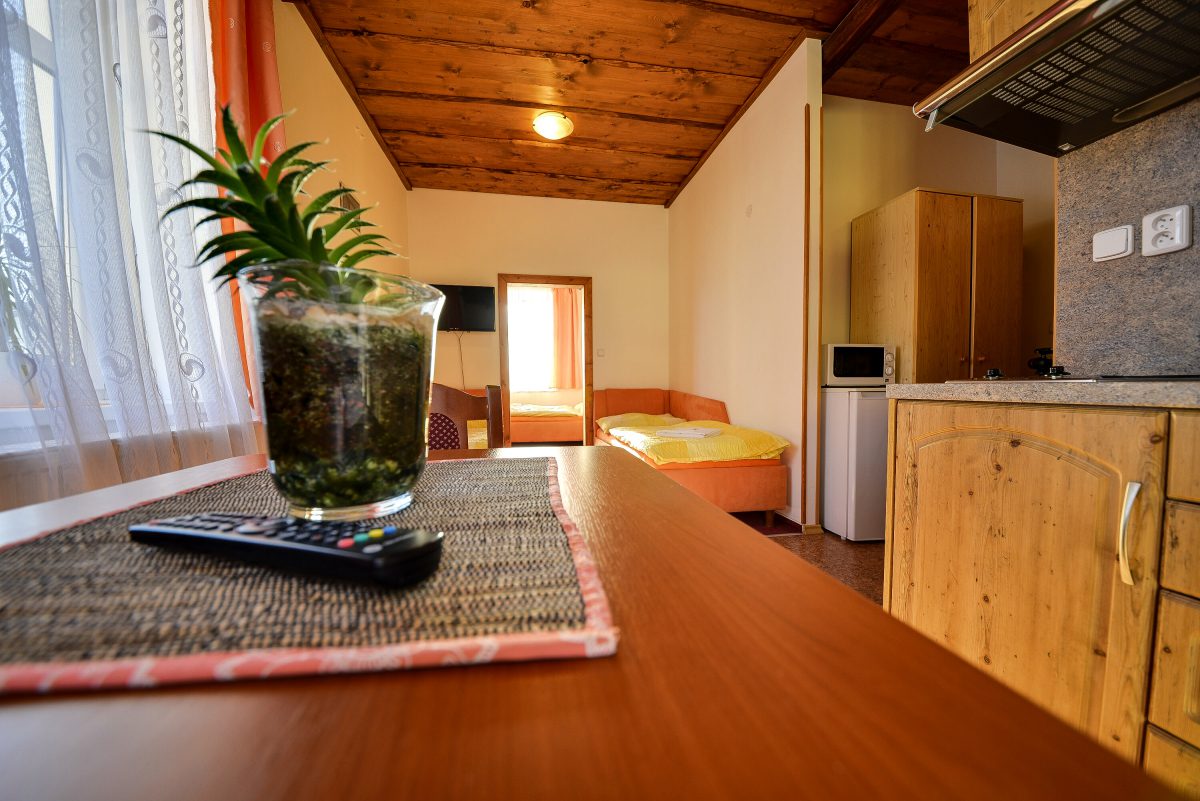 Apartmán 1.