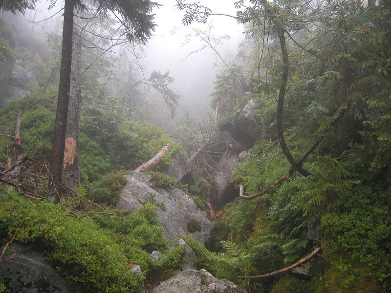prales1